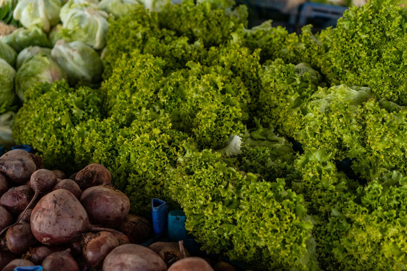 Fresh organic produce